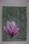 magnolia_800x1200.JPG